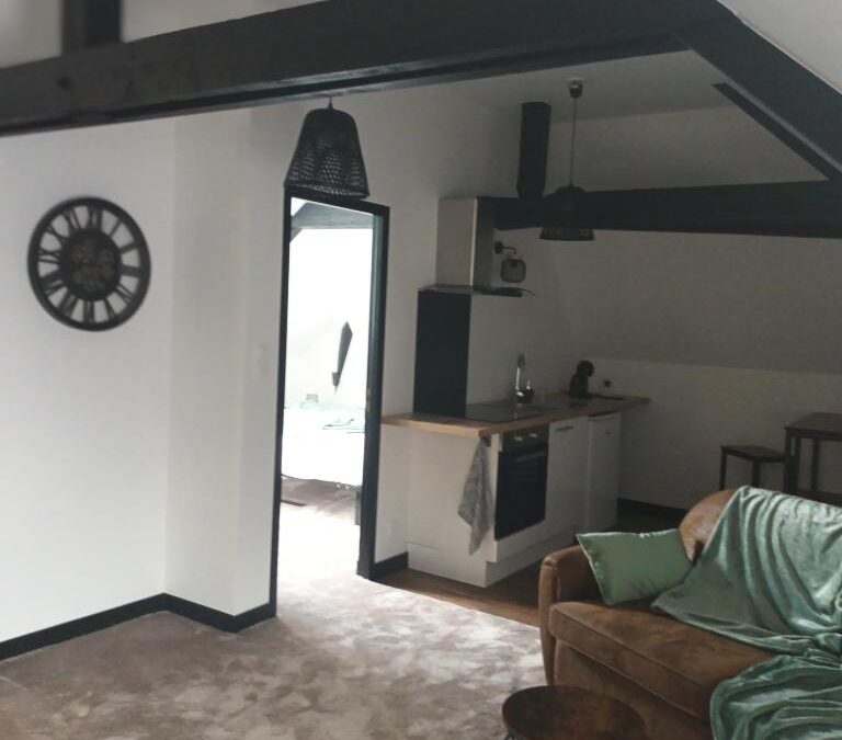 Appartement 1 chambre